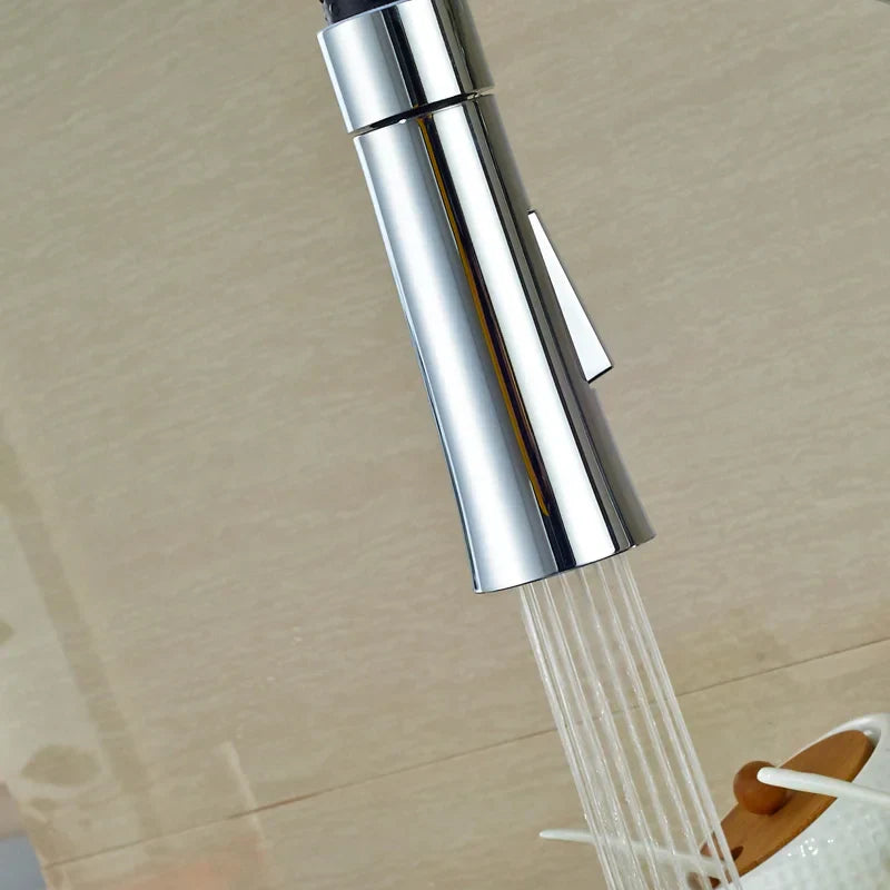 Chrome Kitchen Spray Head