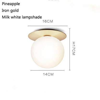 مصباح سقف كرة زجاجية من DecorBites™: إضاءة دائرية بسيطة للممر بتصميم عصري