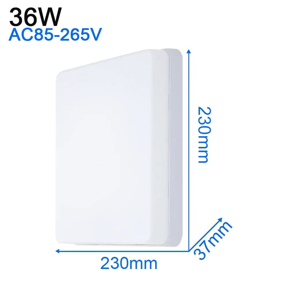 DecorBites™ LED Ceiling Light: Modern Ultra-thin Panel, 6-48W, Surface Mounted for Living Room