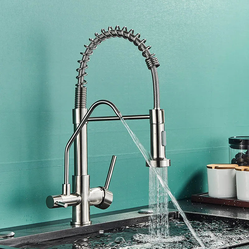 DecorBites™ Black Dual Handle Kitchen Faucet with Water Purification Feature, 360° Rotation