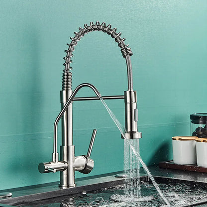 DecorBites™ Black Dual Handle Kitchen Faucet with Water Purification Feature, 360° Rotation
