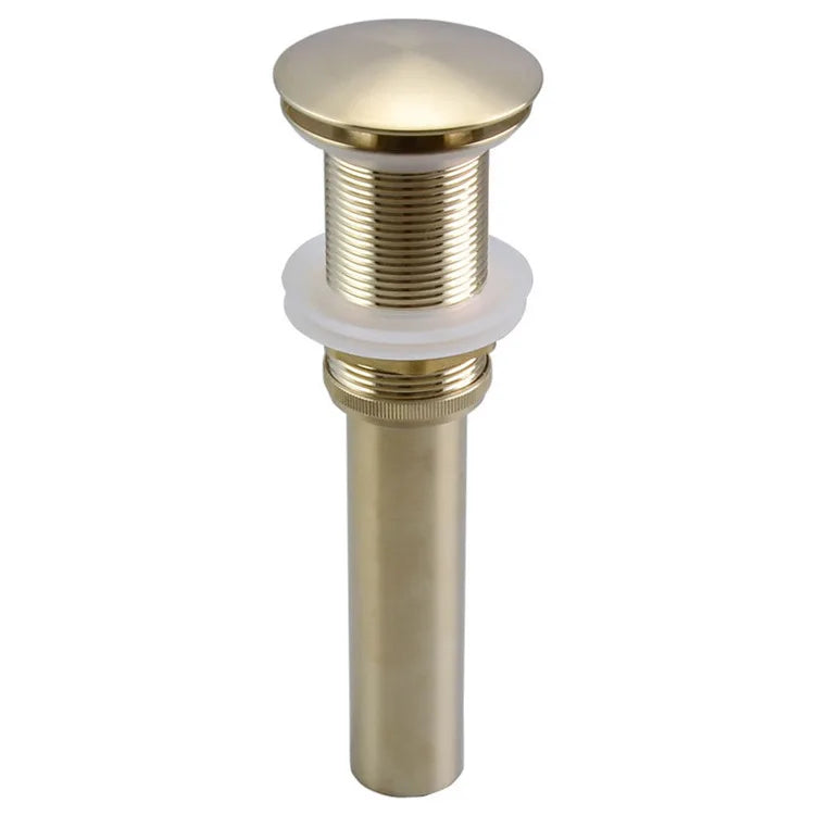 DecorBites™ Brushed Gold Pop-up Drain Assembly Kit for Bathroom Sink Vessel Vanity