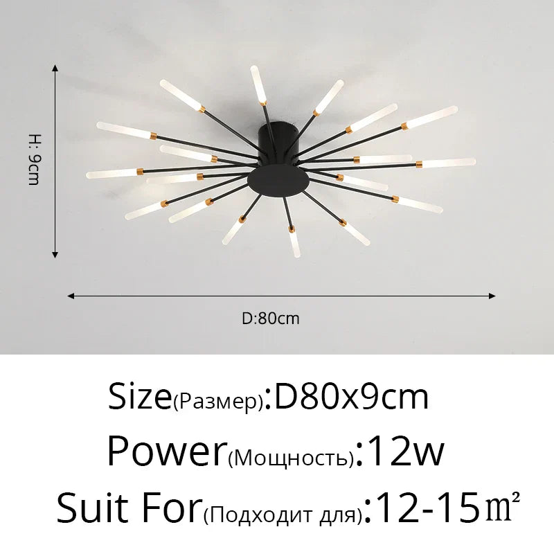 Acrylic Modern Ceiling Light