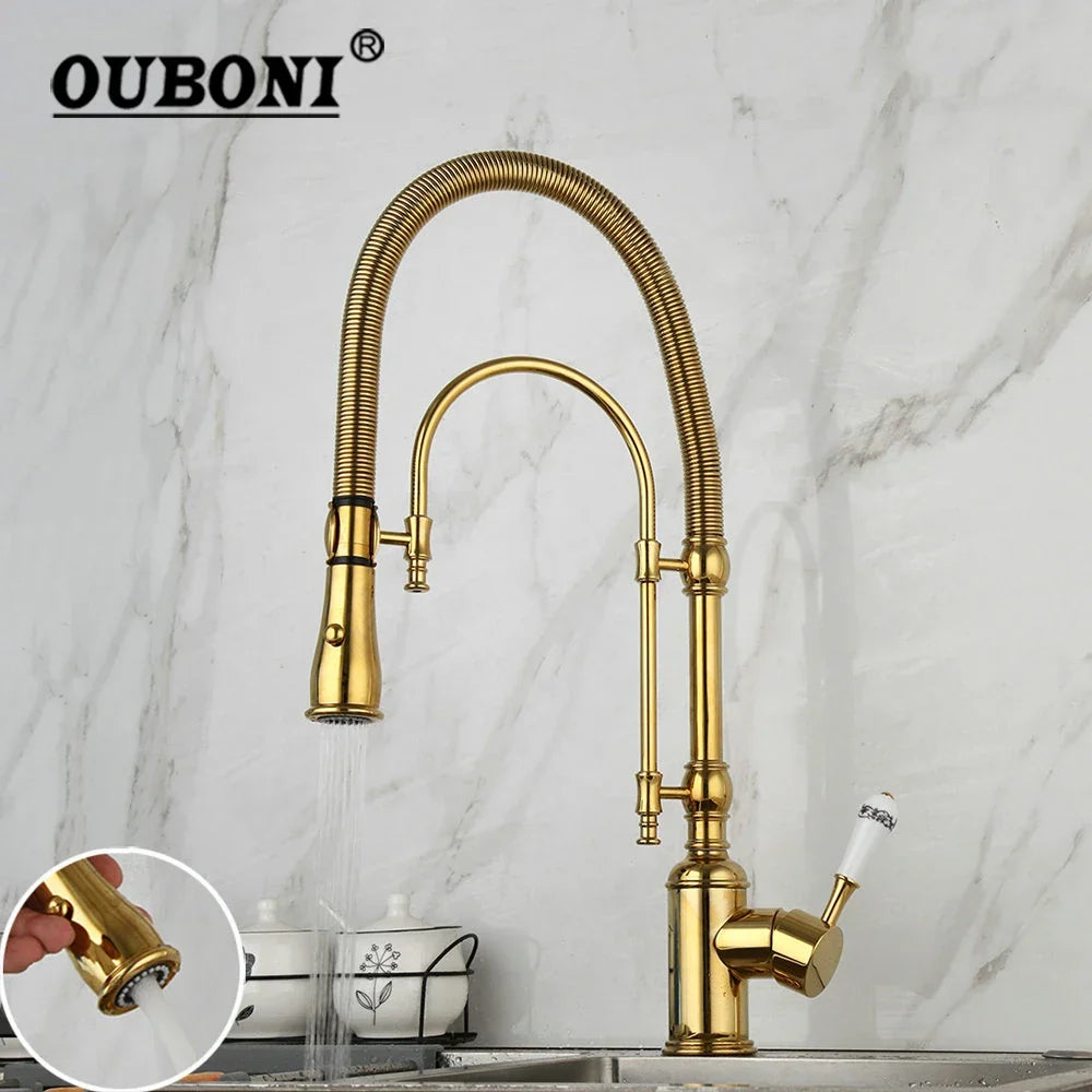 Grifo mezclador giratorio para lavabo de cocina DecorBites™ dorado con resorte extraíble