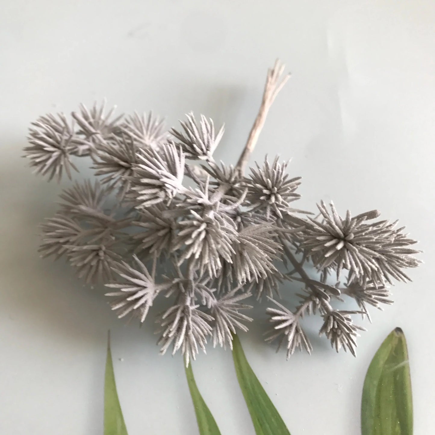 ديكوربايتس™ - مزيج من 6 قطع من الزهور المجففة لصنع المجوهرات وصنع الشموع العطرية