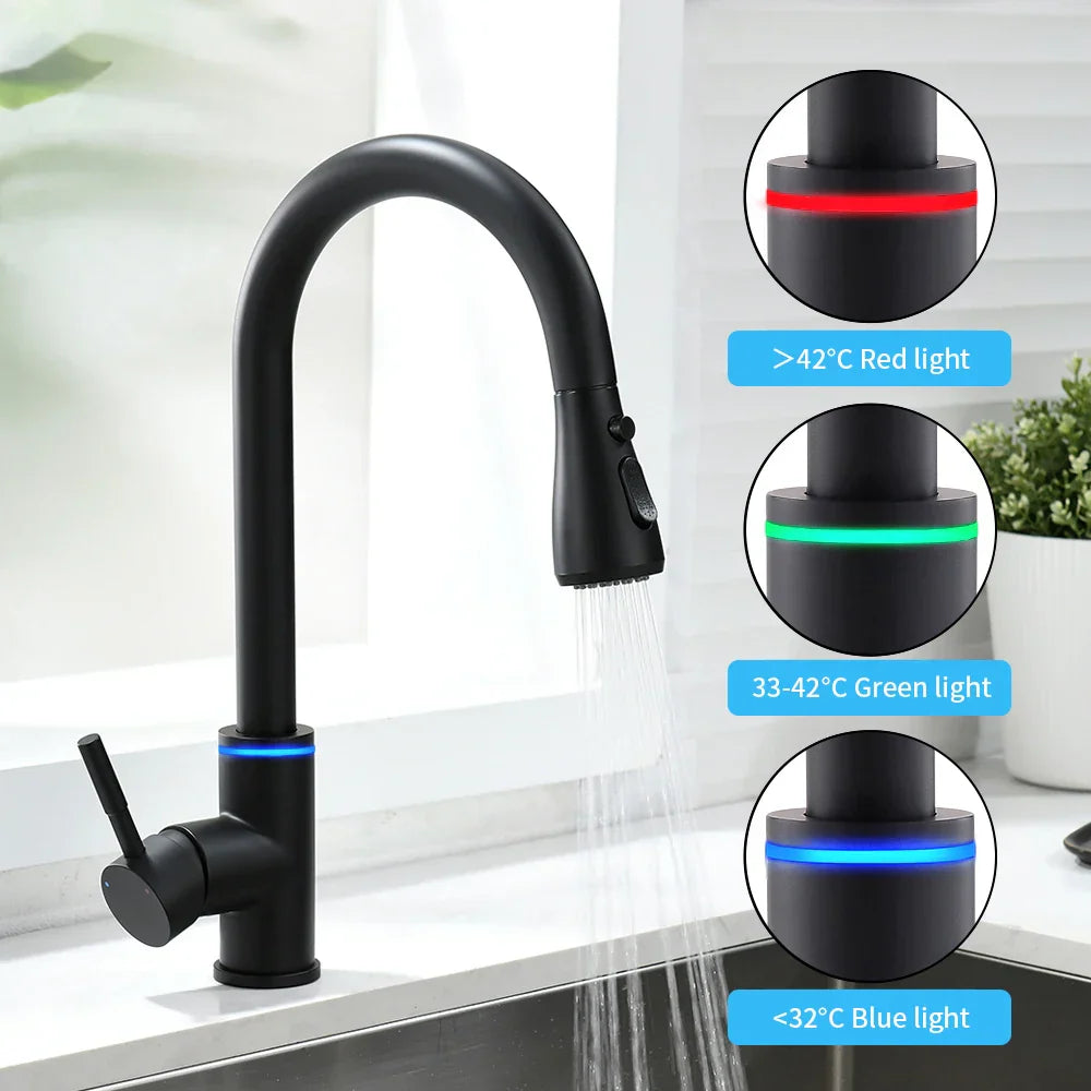 DecorBites™ LED Single Hole Kitchen Faucet with Pull Out Spout and Stream Sprayer