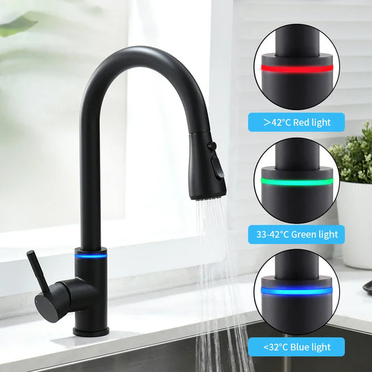DecorBites™ LED Single Hole Kitchen Faucet with Pull Out Spout and Stream Sprayer