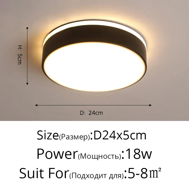 DecorBites™ LED Ceiling Light for Corridor Art Gallery Decoration in White or Black