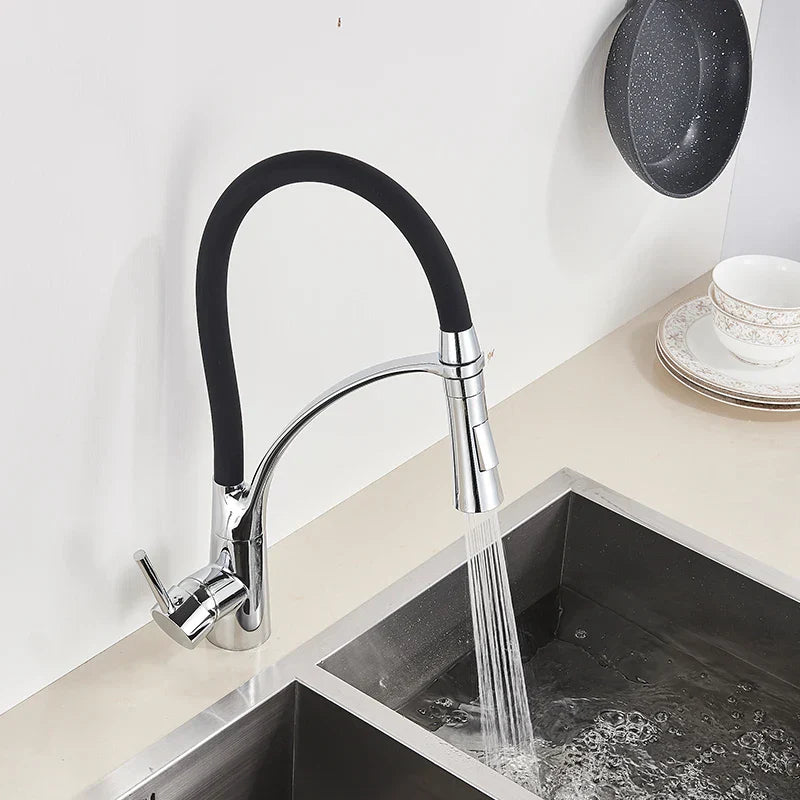 DecorBites™ Black Hose Kitchen Faucet with Single Handle and Pull Down Sprayer