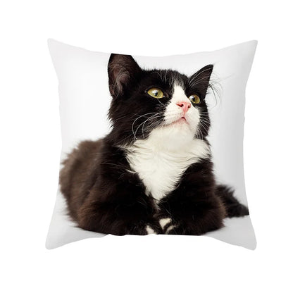 DecorBites™ Black Cat Pillowcases - Cute Kitty Animal Lover Cushion Cover