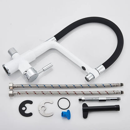 DecorBites™ Kitchen Faucet with Filtered Water, Dual Handle Hot Cold Mixer Taps