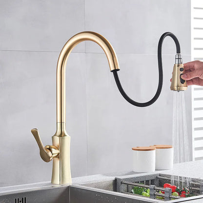 DecorBites™ Gold Single Handle Kitchen Faucet: Hot and Cold Water Tap