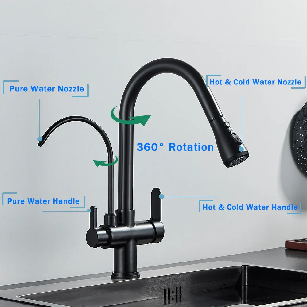 DecorBites™ Black Dual Modes Kitchen Faucet 2 in 1 Pure Water Mixer Tap