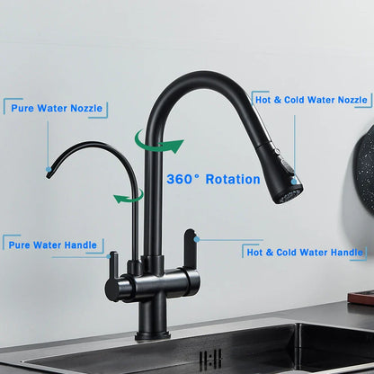 DecorBites™ Black Dual Modes Kitchen Faucet 2 in 1 Pure Water Mixer Tap