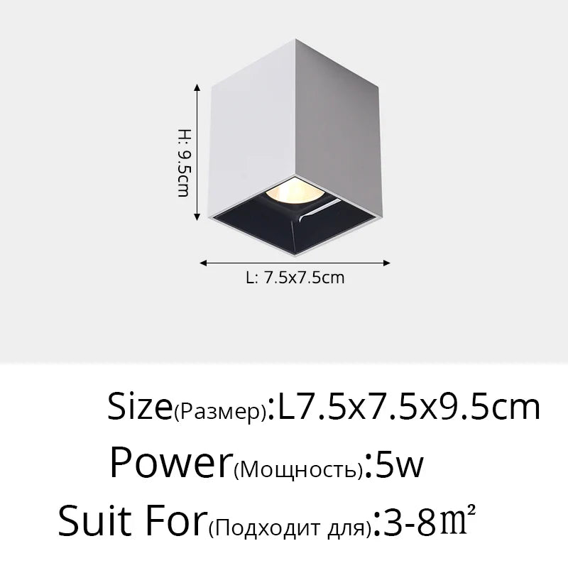 DecorBites™ LED Adjustable Angle Spotlight Ceiling Lights for Background Wall and Aisle