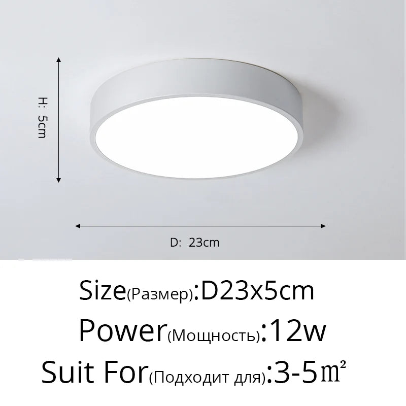 DecorBites™ LED Ceiling Light for Corridor Art Gallery Decoration in White or Black