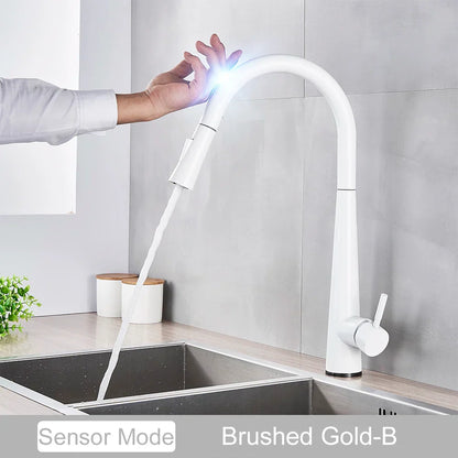 DecorBites™ Black Kitchen Faucet Touch Sensor Mixer Tap