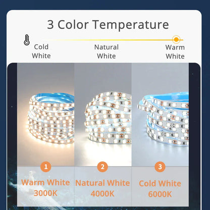 DecorBites™ LED Strip Lights 2835 SMD 120 LEDs/m 5mm DC12V - Home Decor & Bar Lighting