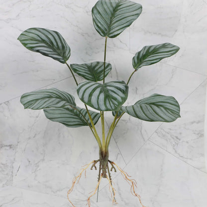 DecorBites™ Green Plant Wall Set for Indoor Decoration