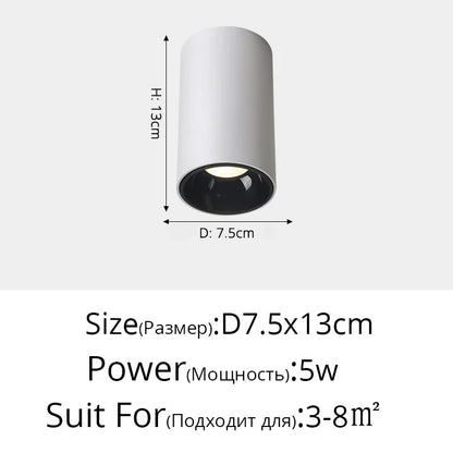 DecorBites™ LED Adjustable Angle Spotlight Ceiling Lights for Background Wall and Aisle