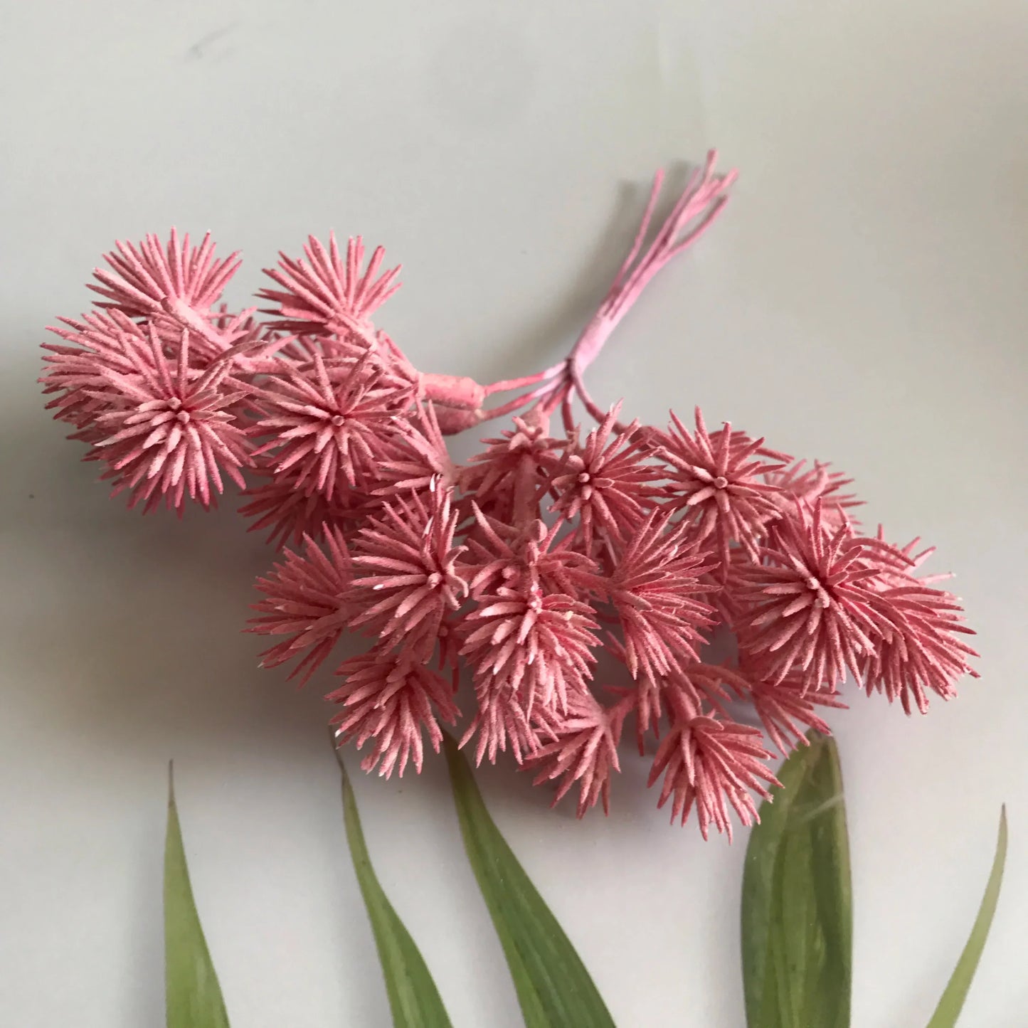 ديكوربايتس™ - مزيج من 6 قطع من الزهور المجففة لصنع المجوهرات وصنع الشموع العطرية