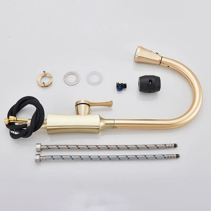 DecorBites™ Gold Single Handle Kitchen Faucet: Hot and Cold Water Tap