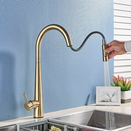 DecorBites™ Gold Swivel Kitchen Faucet with Pull Down Sprayer