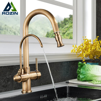 DecorBites™ Antique Brass 2-in-1 Kitchen Faucet with Pull Out Nozzle and Purification