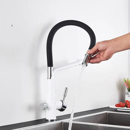 DecorBites™ Kitchen Faucet with Filtered Water, Dual Handle Hot Cold Mixer Taps