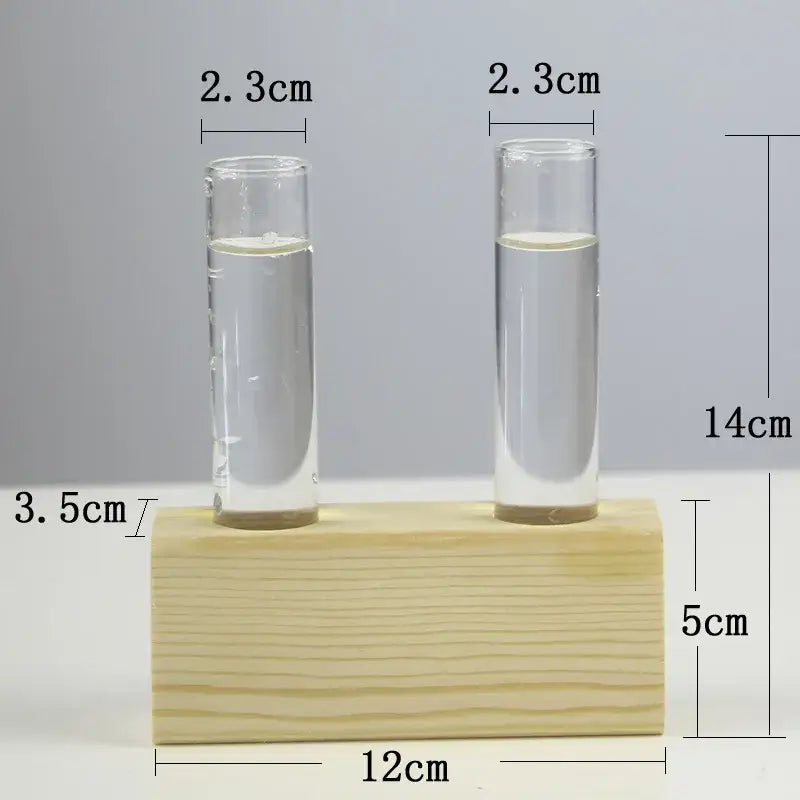 Modern Crystal Glass Test Tube Vase