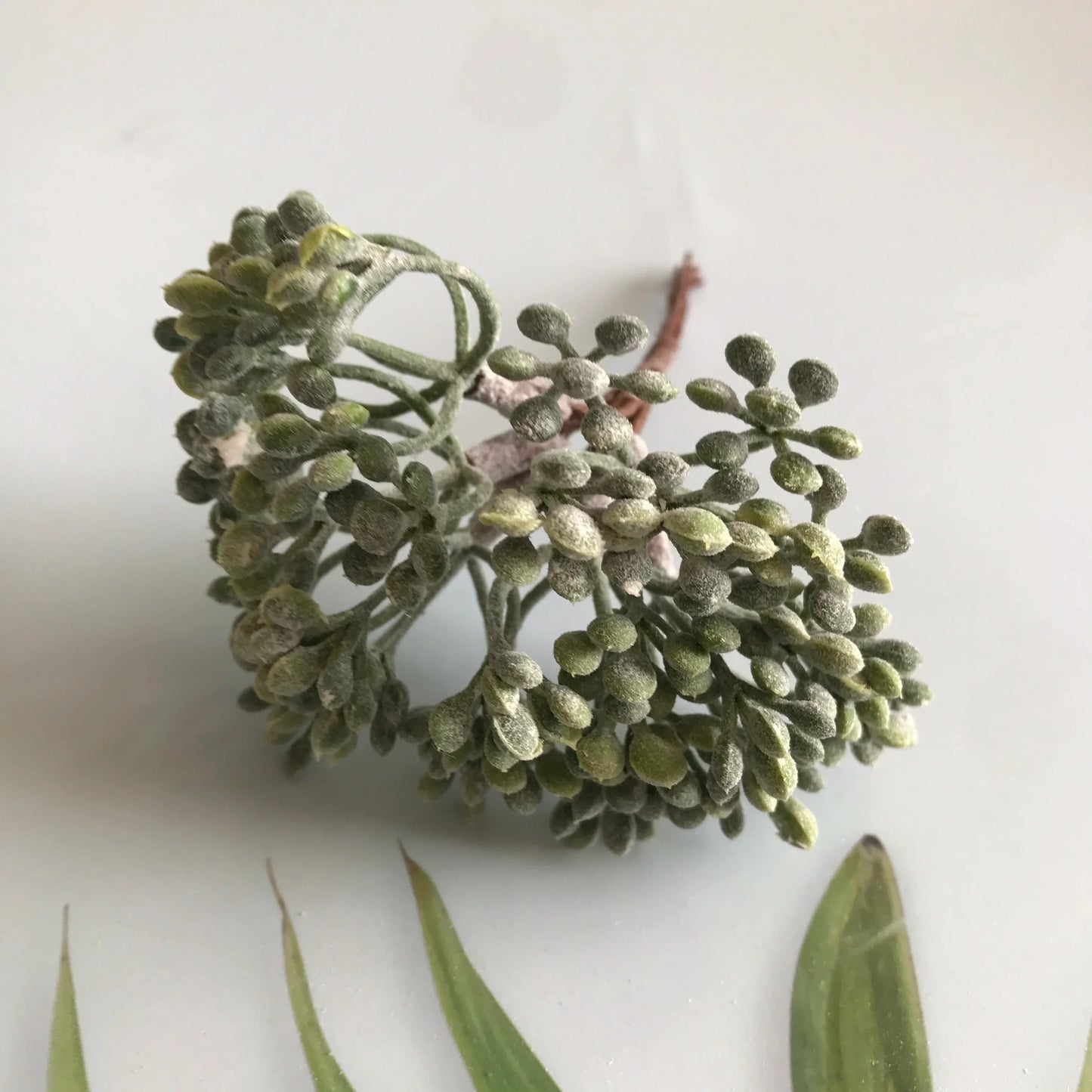 ديكور بايتس™ نباتات صناعية، زينة يدوية، نباتات مجففة، 5 غرام