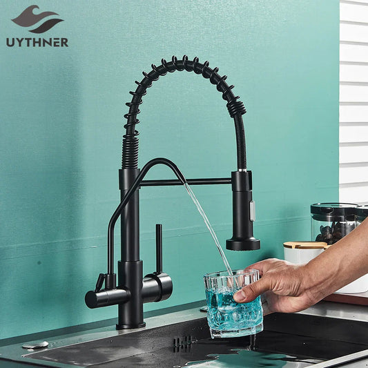 DecorBites™ Black Dual Handle Kitchen Faucet with Water Purification Feature, 360° Rotation