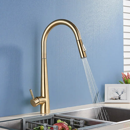 DecorBites™ Gold Swivel Kitchen Faucet with Pull Down Sprayer