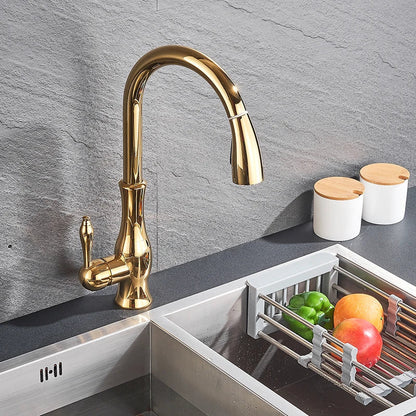 DecorBites™ Brass Kitchen Faucet Pull Out Sprayer High Arch Mixer Tap Kit