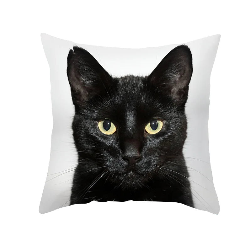 DecorBites™ Black Cat Pillowcases - Cute Kitty Animal Lover Cushion Cover