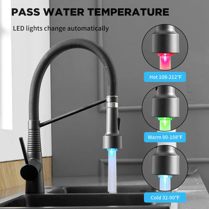 DecorBites™ LED Kitchen Faucet Single Hole Pull Out Spout Black Mixer Tap