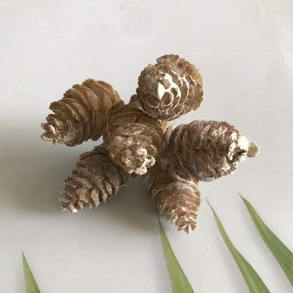 Corona de flores artificiales DecorBites™ para decoración del hogar, bodas y fiestas (DIY)