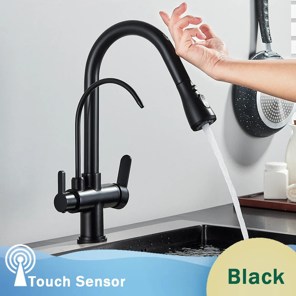 DecorBites™ Black Dual Modes Kitchen Faucet 2 in 1 Pure Water Mixer Tap