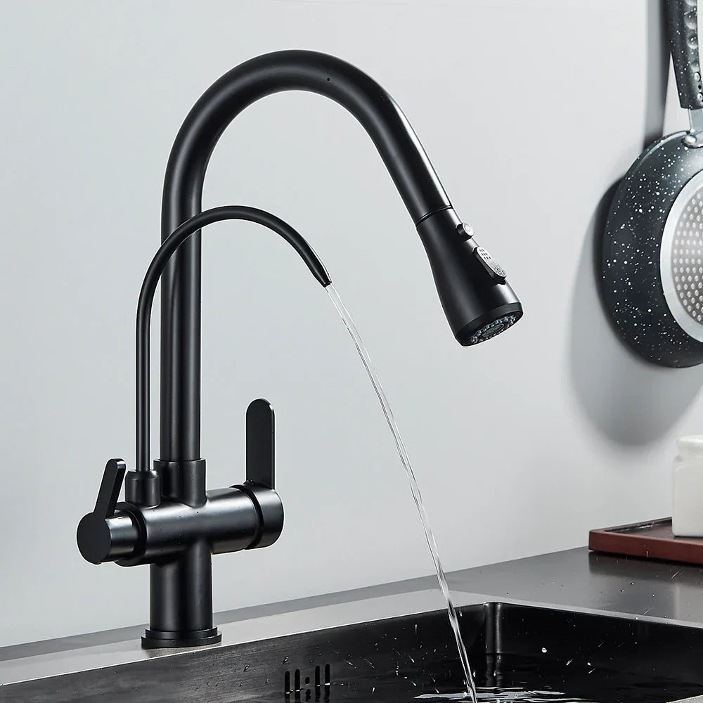 DecorBites™ Black Dual Modes Kitchen Faucet 2 in 1 Pure Water Mixer Tap