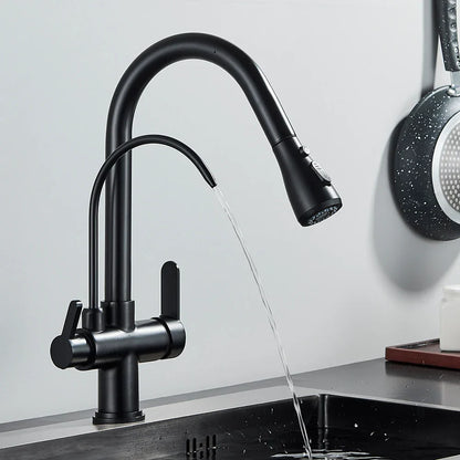 DecorBites™ Black Dual Modes Kitchen Faucet 2 in 1 Pure Water Mixer Tap