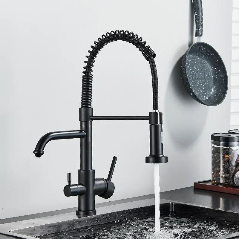 Grifo de filtro de agua de cocina de doble salida Decorbites™ con función de purificación de agua por rotación