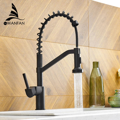 DecorBites™ Black Brass Kitchen Faucet Pull Out Swivel Spout Mixer Tap