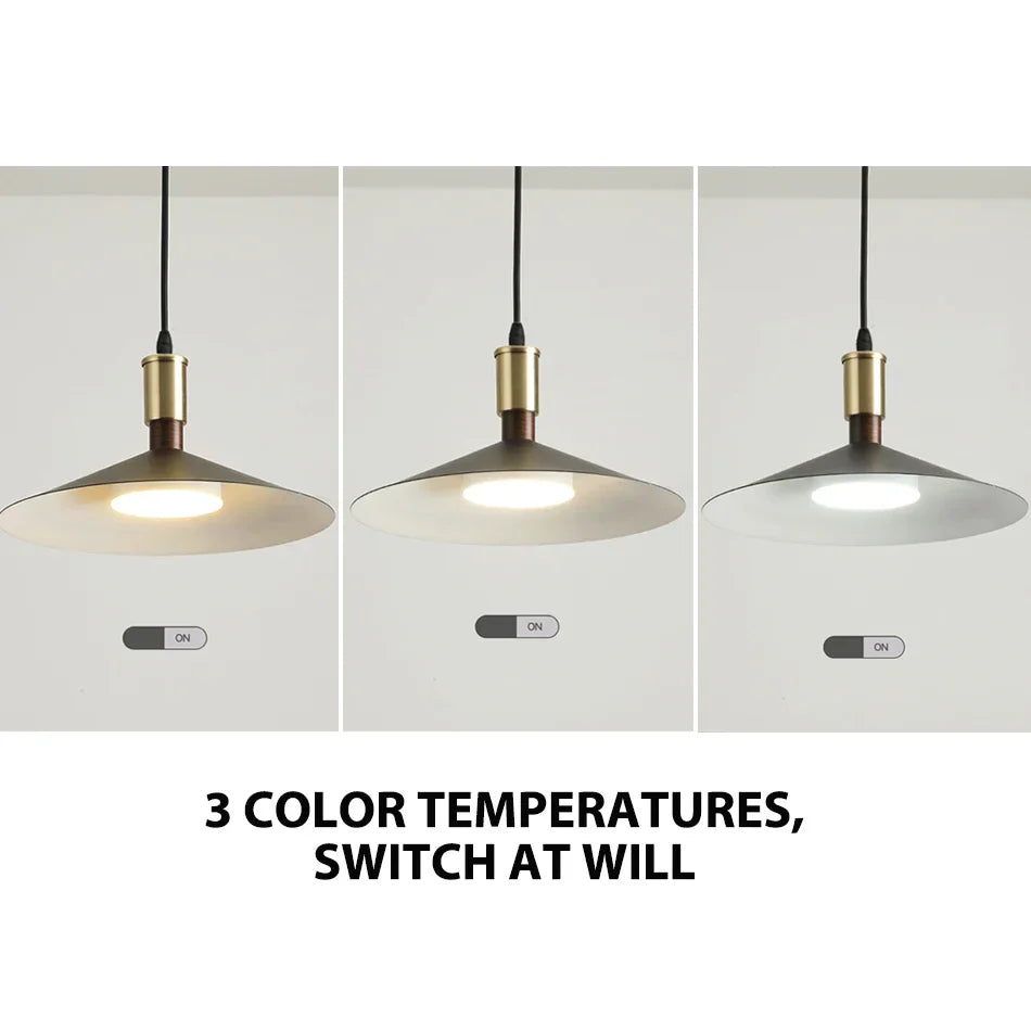 DecorBites™ Dimming Pendant Light: Modern Nordic Hanging Lamp for Restaurant and Living Room