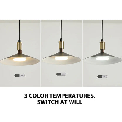 DecorBites™ Dimming Pendant Light: Modern Nordic Hanging Lamp for Restaurant and Living Room