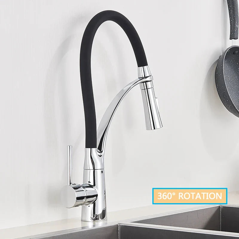 DecorBites™ Black Hose Kitchen Faucet with Single Handle and Pull Down Sprayer