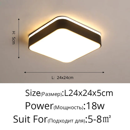 DecorBites™ LED Ceiling Light for Corridor Art Gallery Decoration in White or Black