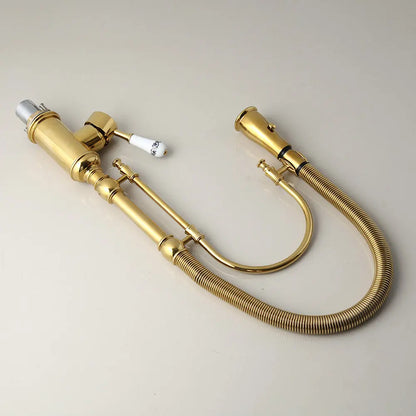 Grifo mezclador giratorio para lavabo de cocina DecorBites™ dorado con resorte extraíble