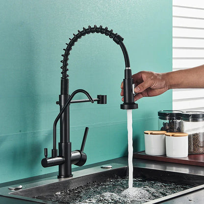DecorBites™ Black Dual Handle Kitchen Faucet with Water Purification Feature, 360° Rotation