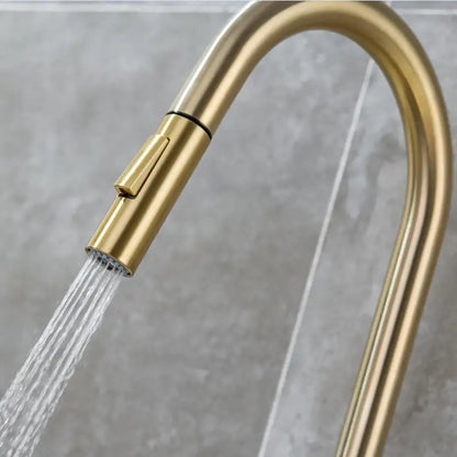 DecorBites™ Brushed Gold Pull Out Kitchen Faucet - SUS 304 Stainless Steel