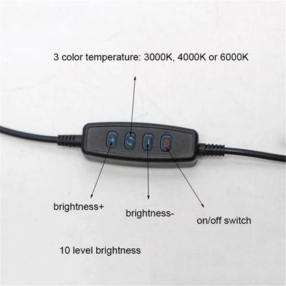DecorBites™ 5W USB Night Light LED Clip Lamp, Dimmable, 3 Color Modes, 10 Brightness Settings